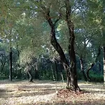 Villa Kefalomandouko